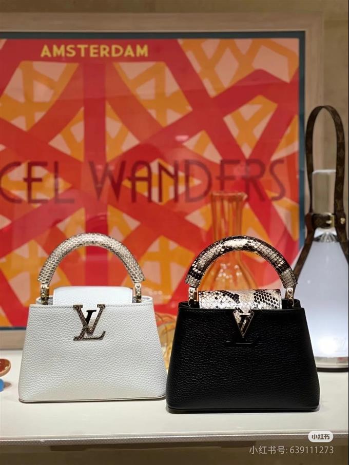 2025224M5592194818927