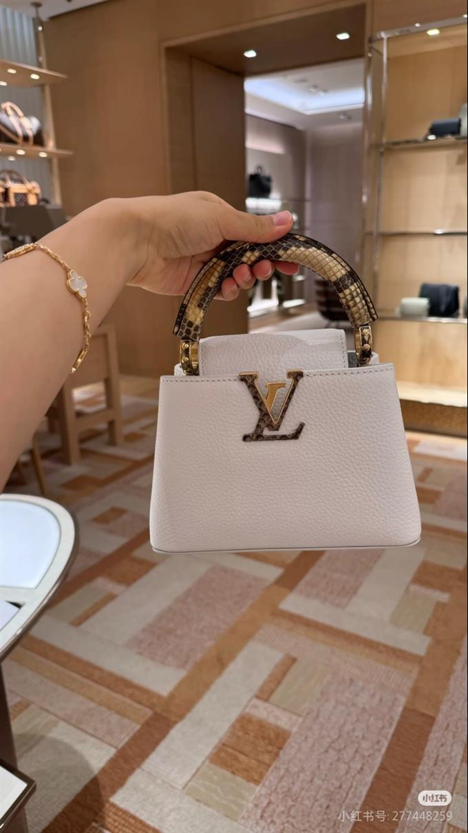 2025224M5592194831320