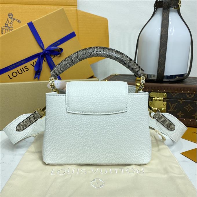 2025224M559219488748