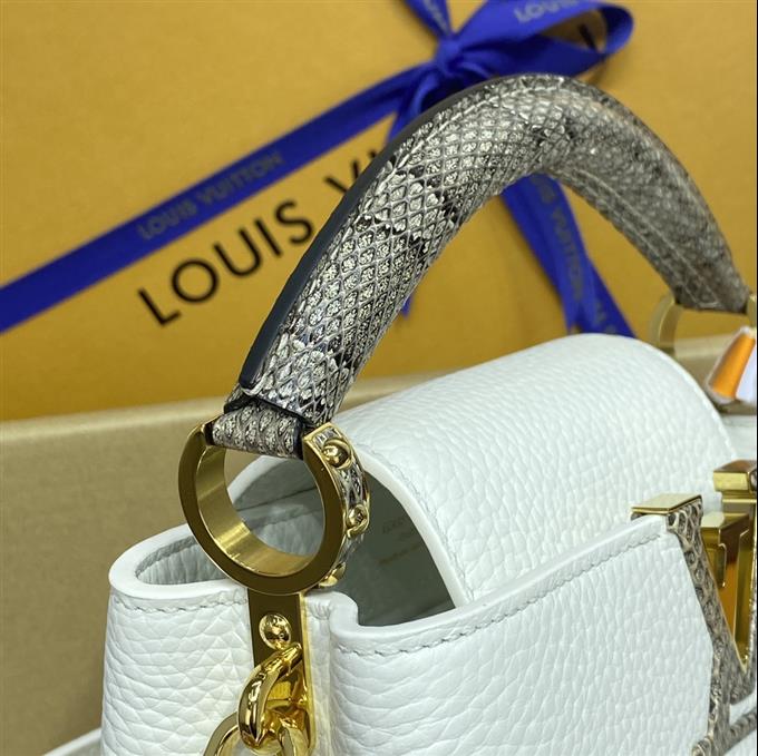 2025224M559219488826