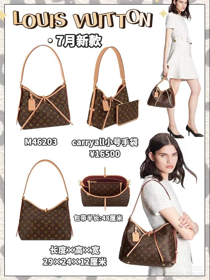 2025224M4619794517582