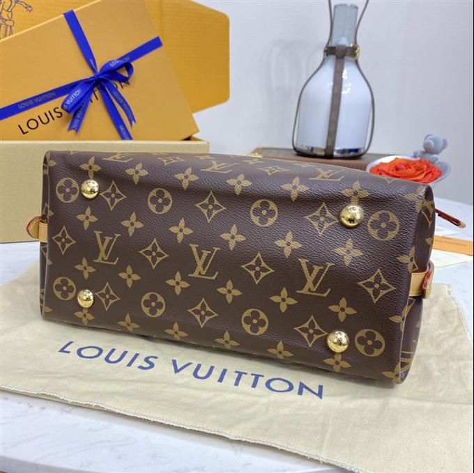 2025224M46203102026946