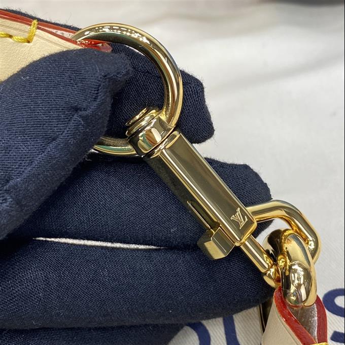 2025224M46829113231523