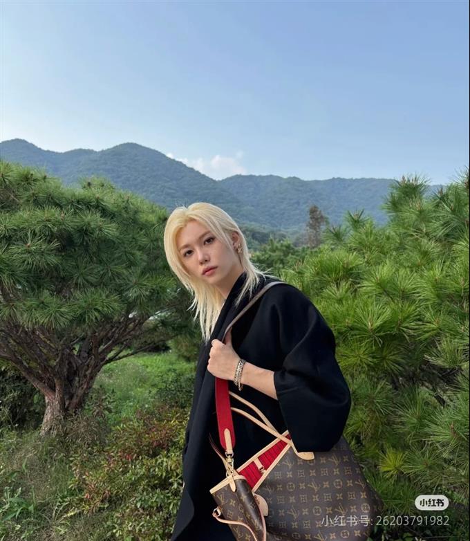 2025224M1209611517631