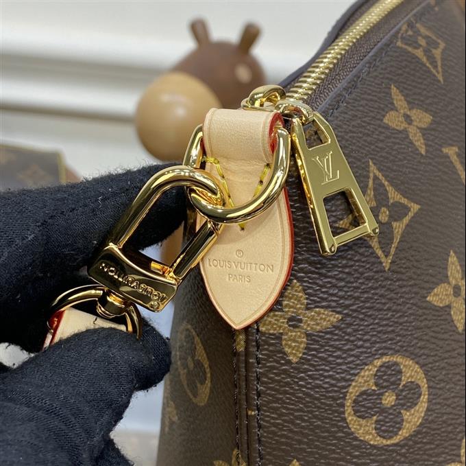 2025224M45986215744705