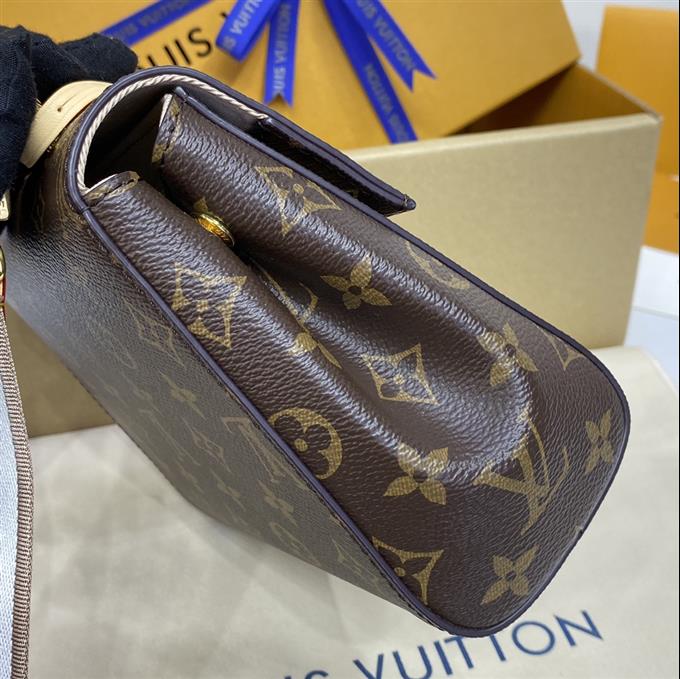 2025224M46055223643504