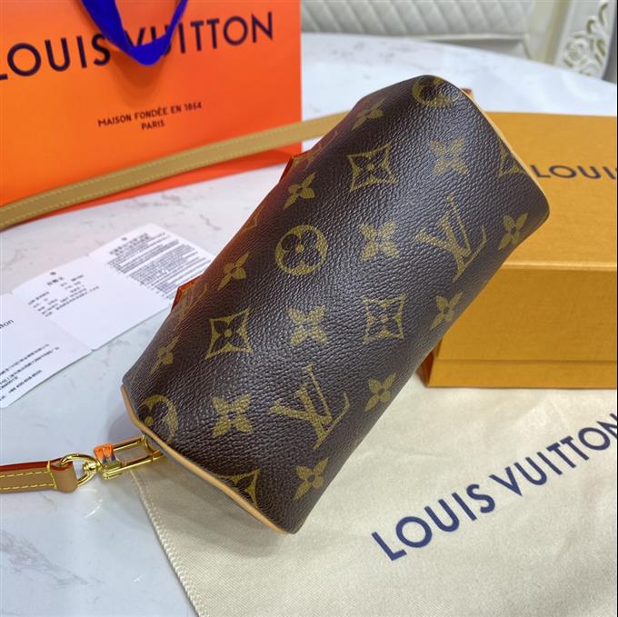 2025224M81085223656952