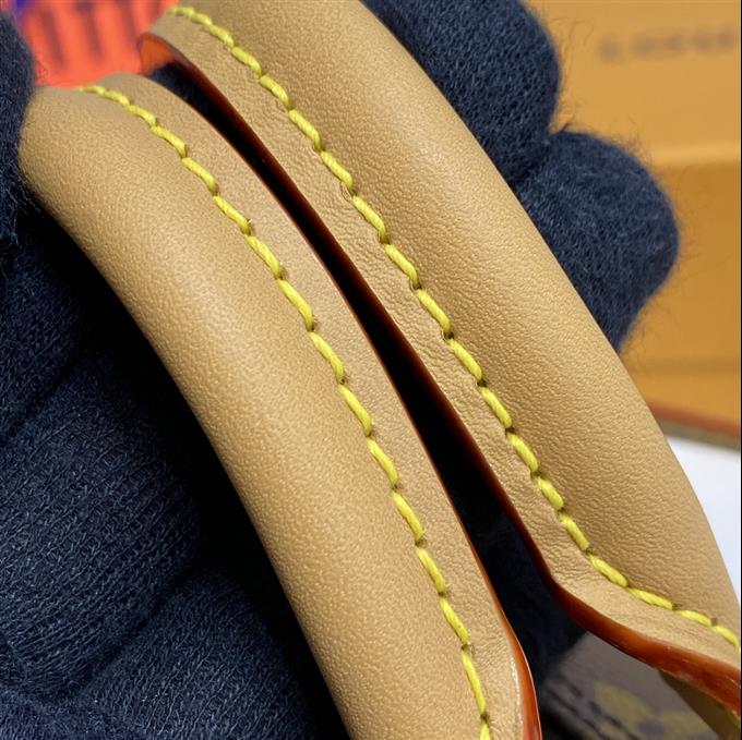 2025224M81085223656999