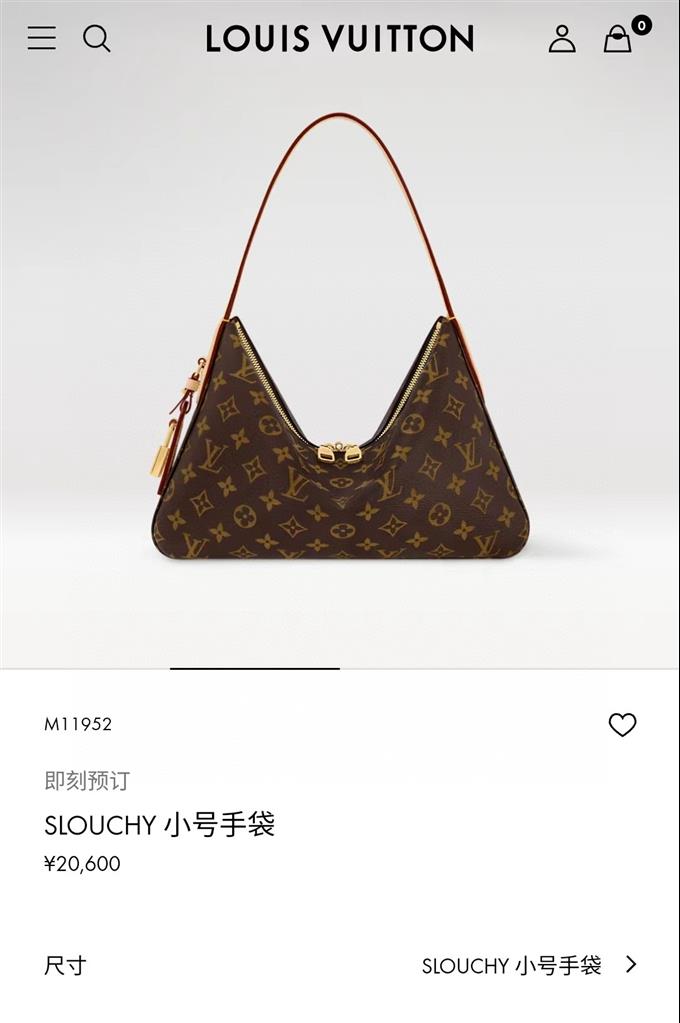 2025224M11952223711515