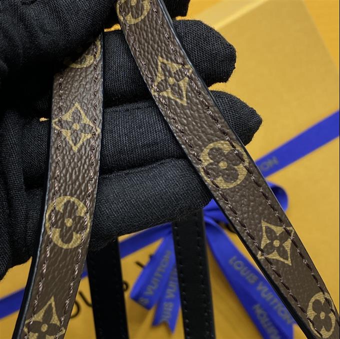 2025224M12192222413283