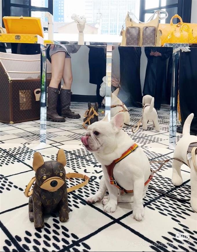 2025224M1261722371296