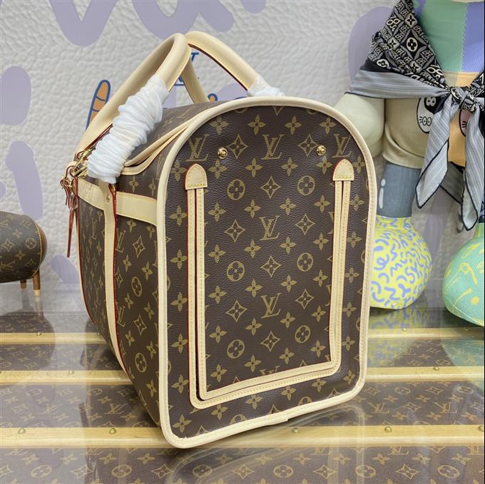 2025224M4566212136114