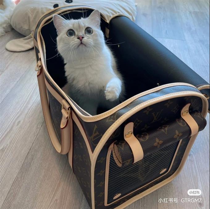 2025224M4566212142135