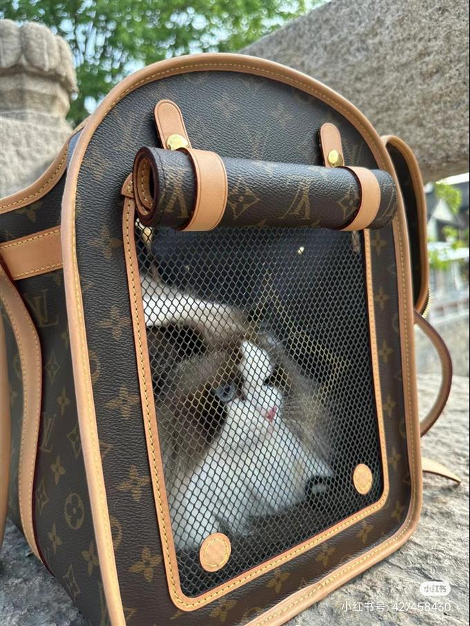 2025224M456621214241