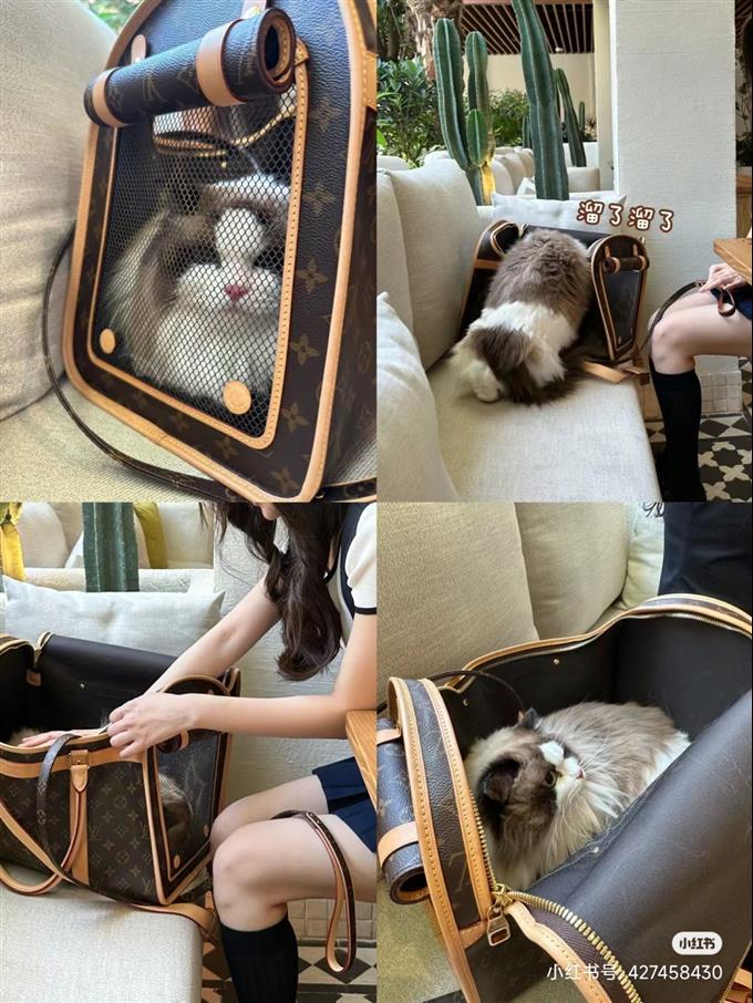 2025224M456621214287