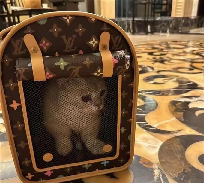 2025224M4706612141696