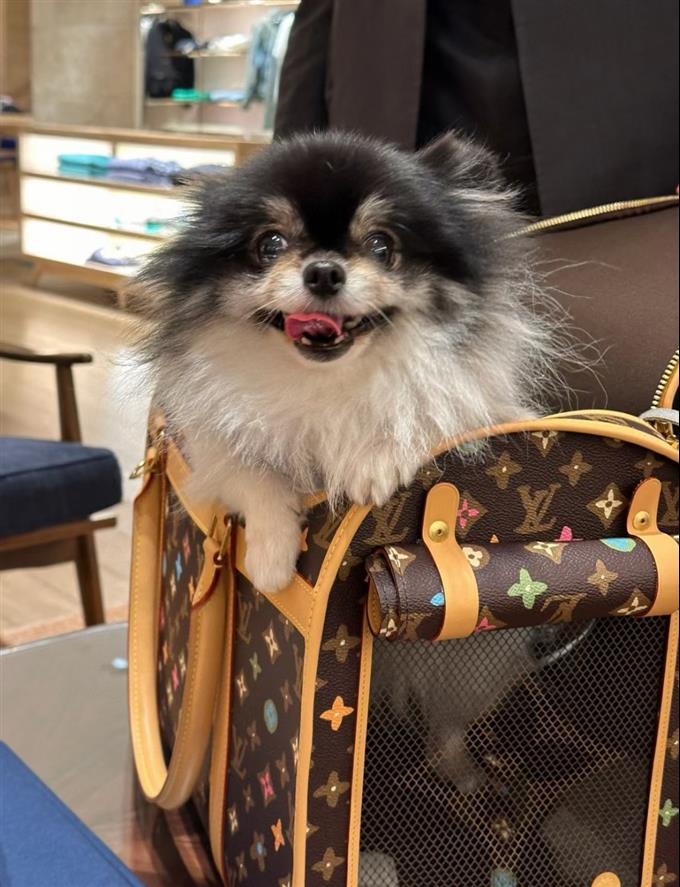 2025224M4706612141711