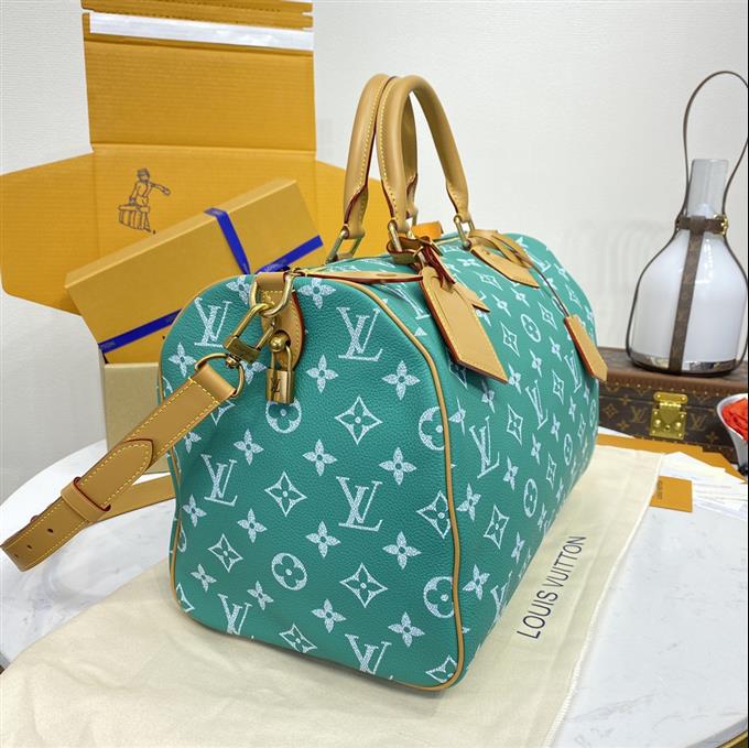 2025224M244191095260