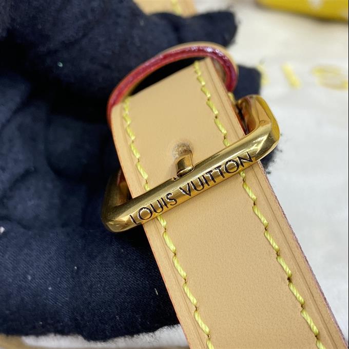 2025224M2441910952858