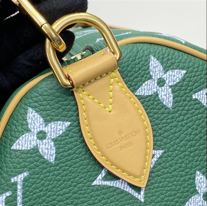 2025224M4696110957954