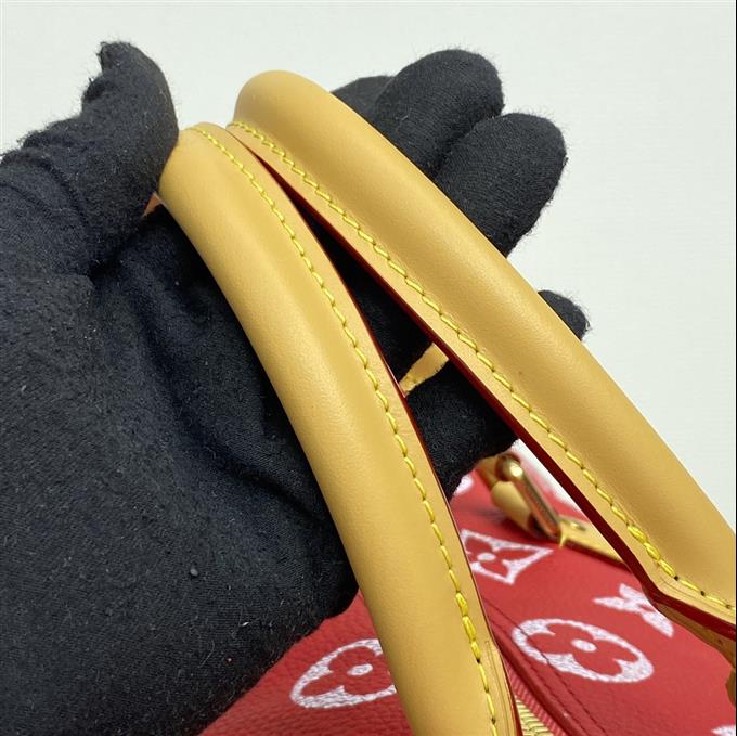 2025224M4696110958315