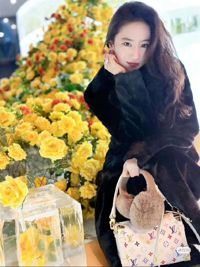 2025224M14046143841536