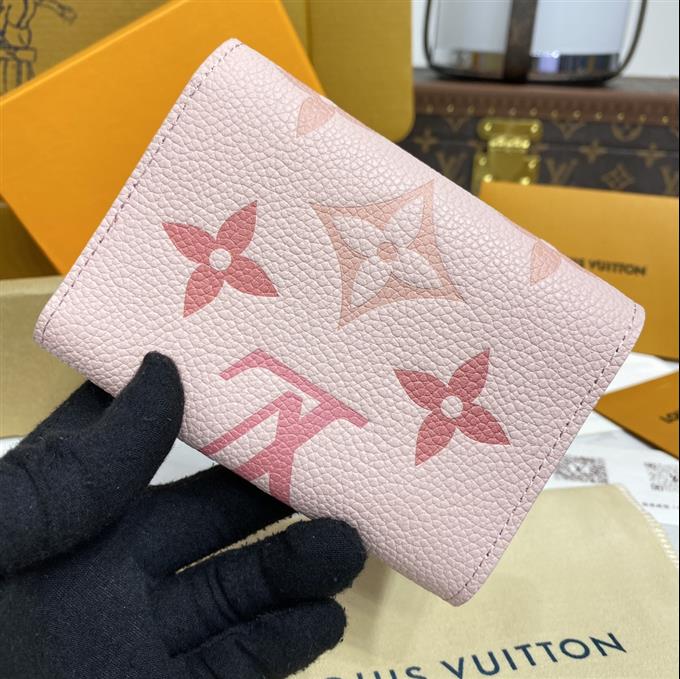 2025224M81861104119491