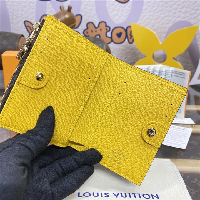 2025224M82381105247741