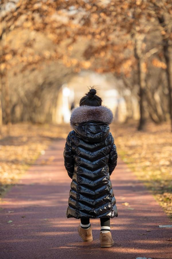 2024322133533489540580740