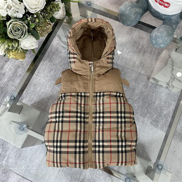 20243221118552300320