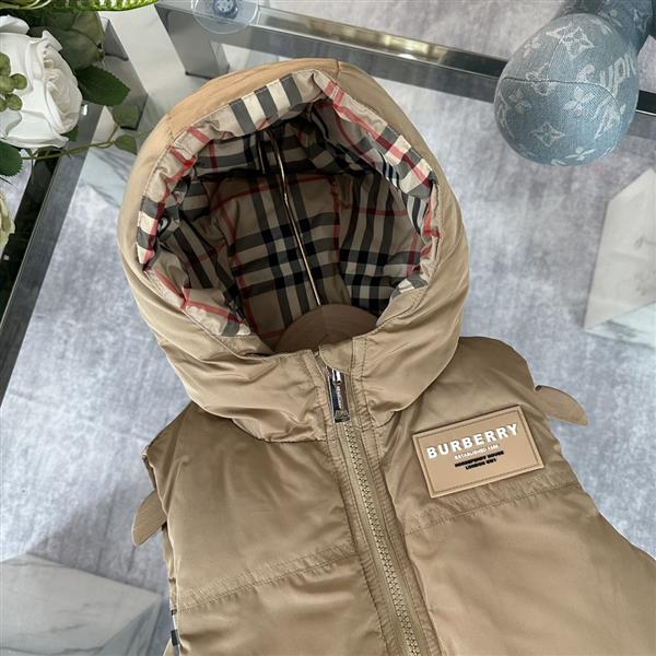 20243221118567300320