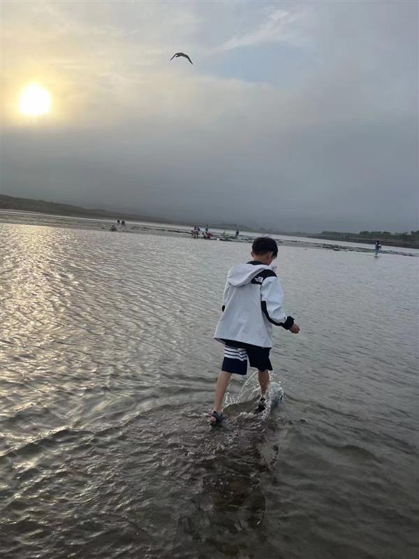 202432214552679270290